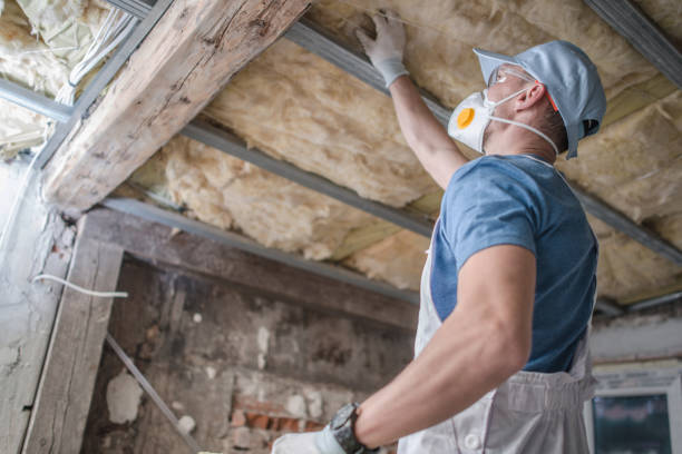 Best Insulation Maintenance and Repair in Highlands, CA